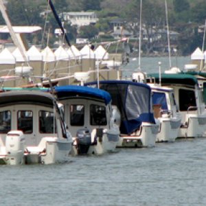 C-Dorys lined up on the dock at Sausalito