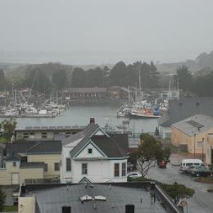 Woodley Island Marina from above