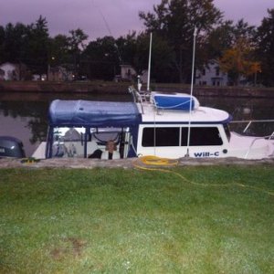 Will-C with Ginny peaking out