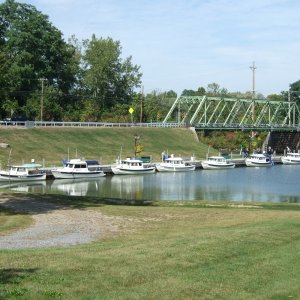 7 little C-Dorys all in a row in Palmyra