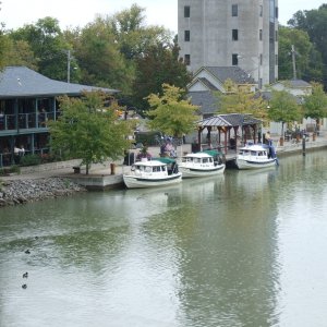 Pittsford town wall...great town w/ deli in the library.