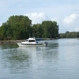 Dave and Ginny's Will-C.