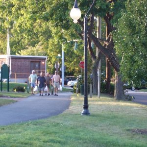 The hunting party returning with game!