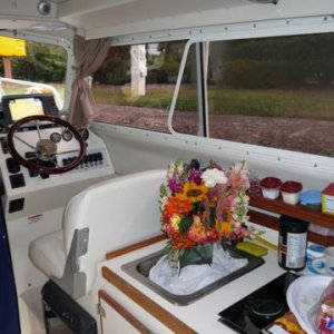 Flowers for Honeyspot, insurance just in case something goes awry.