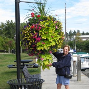 In Palmyra, Pat wants to take it home