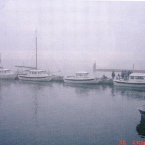 26 Feb 2005 Cornet Bay about 6PM (left to right):  Anita Marie, Daydream/boat-y-sattya, R-Matey, Liberty Call & C-Sick in the corner.