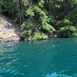The water had that "snow melt" sort of look.