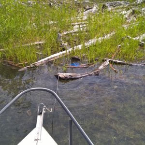 Throw out the hook.  That's 5:1 on the anchor rode.