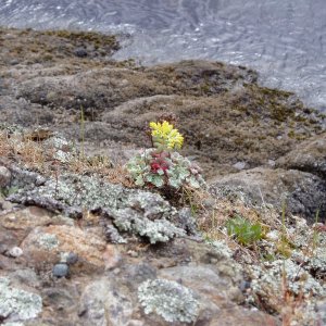 Stuart Island 050