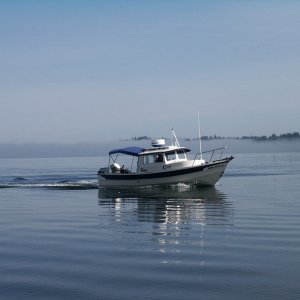 (Da Nag) Cruising into Oly