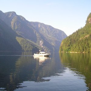 (starcrafttom) looking west from dock p.l.