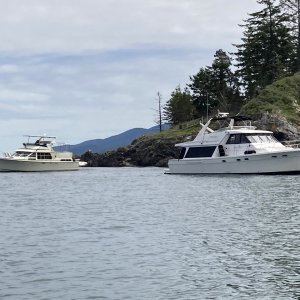 Several large boats were bottom fishing off Pt Lawrence