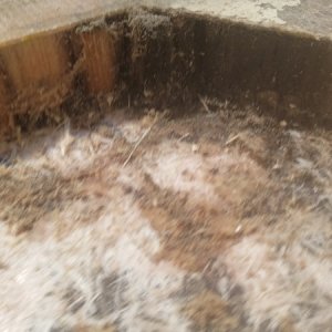 Remaining wet area at back. It is located in the crotch of the angle you can see in the overview.