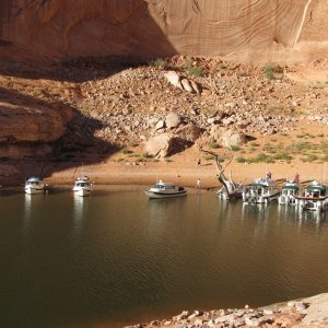 Media 'Group in Forgotten' in album 'Oak Canyon'