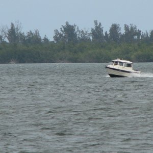 IMG 0125