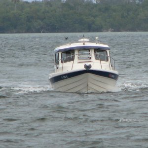IMG 0128