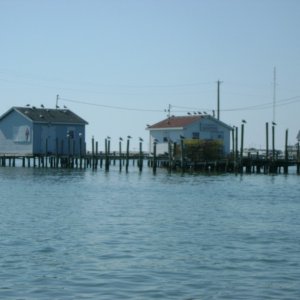 Crab houses