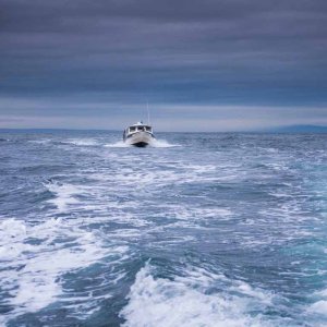 Lighthouse Express - Run across the Strait from Sequim to Cattle Point