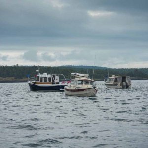 Sequim Fleet at Cattle Point