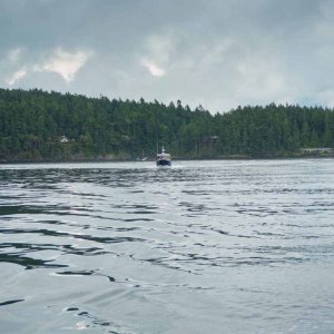 Final run to Friday Harbor