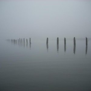thru the fog.... (siuslaw river near cushman)