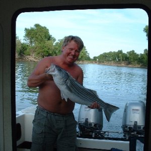 Media '!4 lb Striper Sac River May 07' in album 'Hammerhead 1st Run'