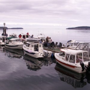 C-Dorys on the Dock at Sequim - Another View 9-30-06.jpg