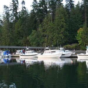 Sequim Bay 06 043