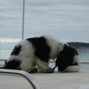 Sequim Bay 06 033