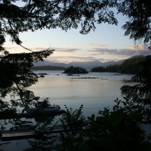 Port Alberni Yacht club harbor view from hiking trail