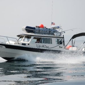 Shiroz Passing