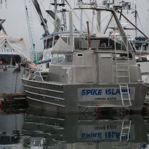 Bow Picker with a Flying Bridge