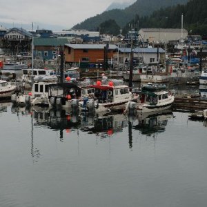 Look What Happend in Cordova.  6 C-Dory's and unplanned meeting.