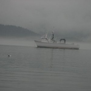 Leaving in the Fog