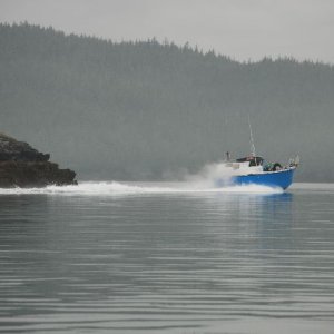 Bowpicker Flat Out
