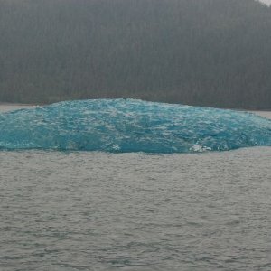 Too Big for the Cooler