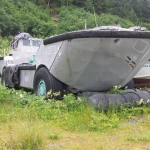 A real Amphib