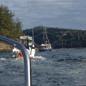 Crowd at Dodd Narrows