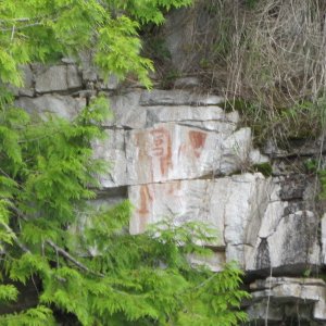 Petroglyphs in Walsh Cove