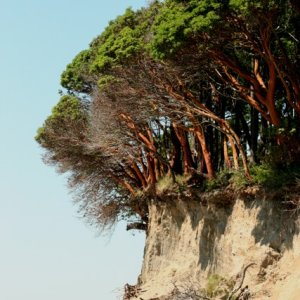070407 IMG 1819
