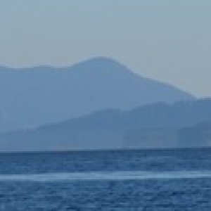 missed photo of a breach