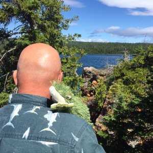 Lil\' Brat likes the hike with Joyce, but likes the view at Hay Bay even more.