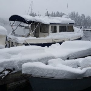 Winter in Victoria, rare but it does happen