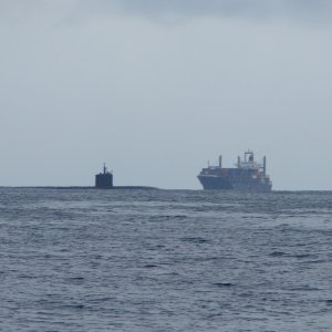 Navy sub and container ship
11/15/08
