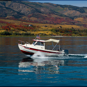 Media 'LWD003 800' in album 'BearLake006'
