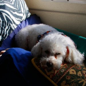Napping on the hook