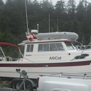 AlliCat, TomCat (Whittier AK, July 2010)