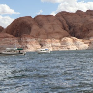 IMG 0989