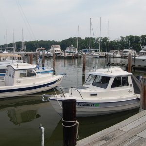DSC 4218 B