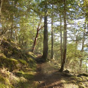 Sound trail